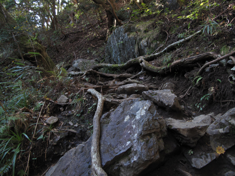 20181115hike (42)